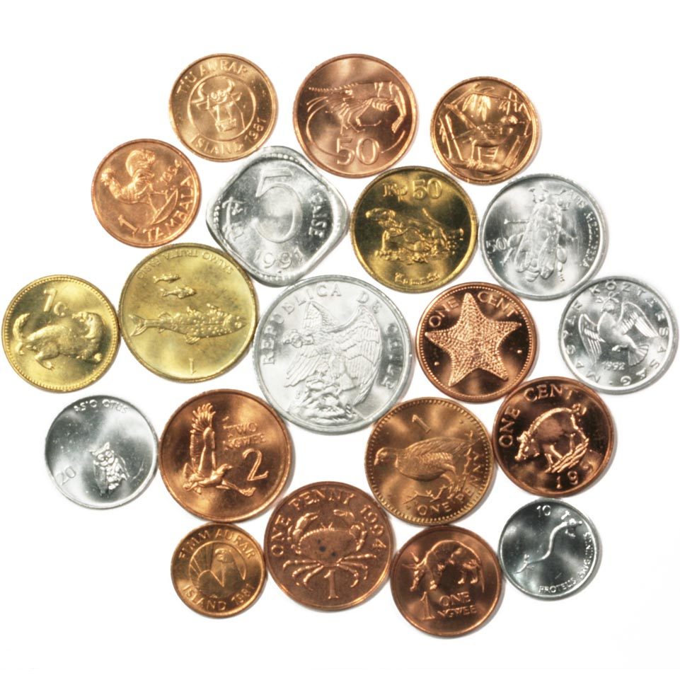 https://www.blackmountaincoins.com/wp-content/uploads/2022/08/18566_20-Wildlife-Coins-Pac_2.jpg